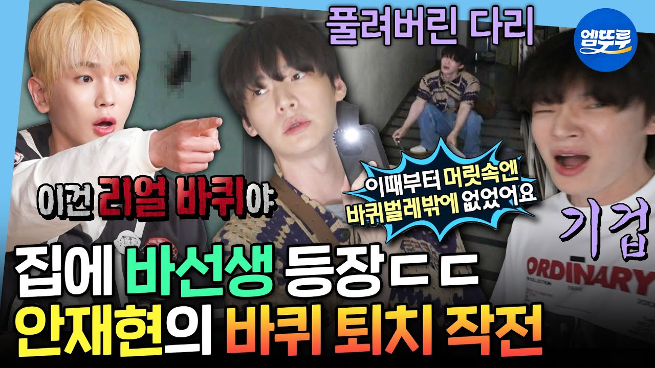 [나혼자산다] 근력보다 담력 키워야 할 듯ㅋㅋㅋ 대왕 바선생🪳잡으려다 땀 한 바가지 흘린 안재현💦 | #안재현 MBC250620방송