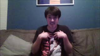 Lets Try to Save SuperMarioLogans channel