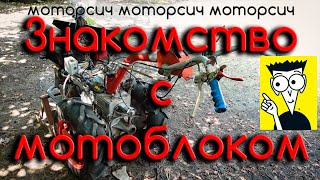 Как управлять мотоблоком Мотор Сич. Инструкция для новичков.