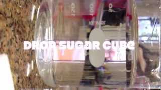 Dissolving Sugar Cubes Procedure- Science Class