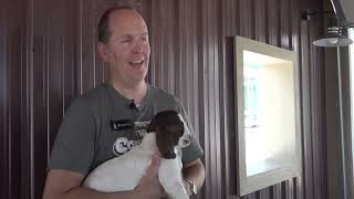 Thanksgiving Point hosts annual Baby Animal Festival
Thanksgiving Point hosts annual Baby Animal Festival Thanksgiving Point hosts annual Baby Animal Festival