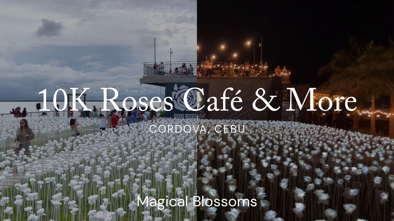 [MV] 10000 Roses Café & More via CCLEX 2022 Cordova Cebu
