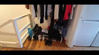 1 bedroom flat on Victoria Park Road E9