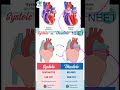 Blood Pressure Control 🔥 Systolic vs Diastolic | NEET Trick