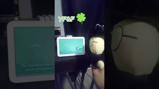 Yfu0026f St Patricks Day Quiz almost An Epic Fail