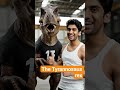 The Tyrannosaurus rex #usshortsfeed #viralreels #viralvideo #usa