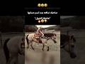 صاحبك الخروف اضافته بنت عاشقه للخيول اشتراككم يسعدنا  