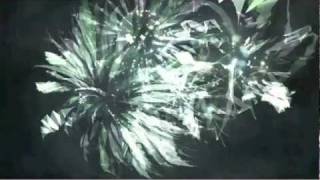 Dj Zid - Hackbird