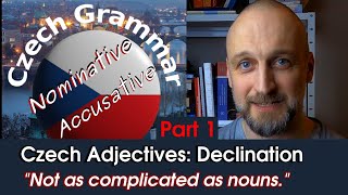 Adjectives: Part 1 - Nominative and Accusative