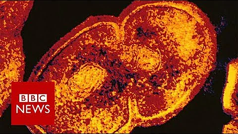 Ultra-tough antibiotic to fight superbugs - BBC News