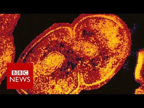 Superbugs And Antibiotics: How To Prevent Superbug Bacteria | Better | NBC News