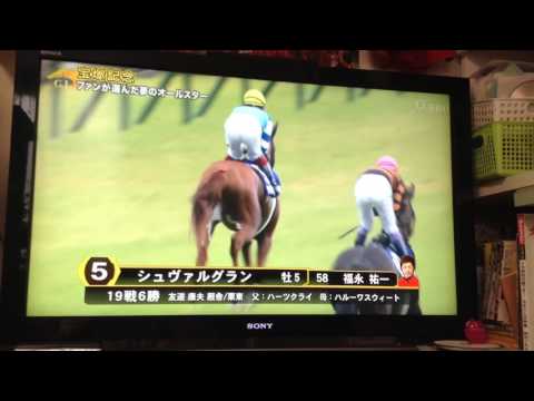 2017 宝塚記念本馬場入場