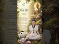 Đừng để quá khứ định nghĩa con người bạn ở hiện tại #skvi #phongthuy #loivangphatdaythichphaphoa