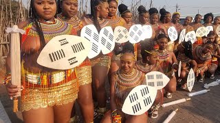 UMGUNGUDLOVU LIVE REED DANCE Eswatini 2023