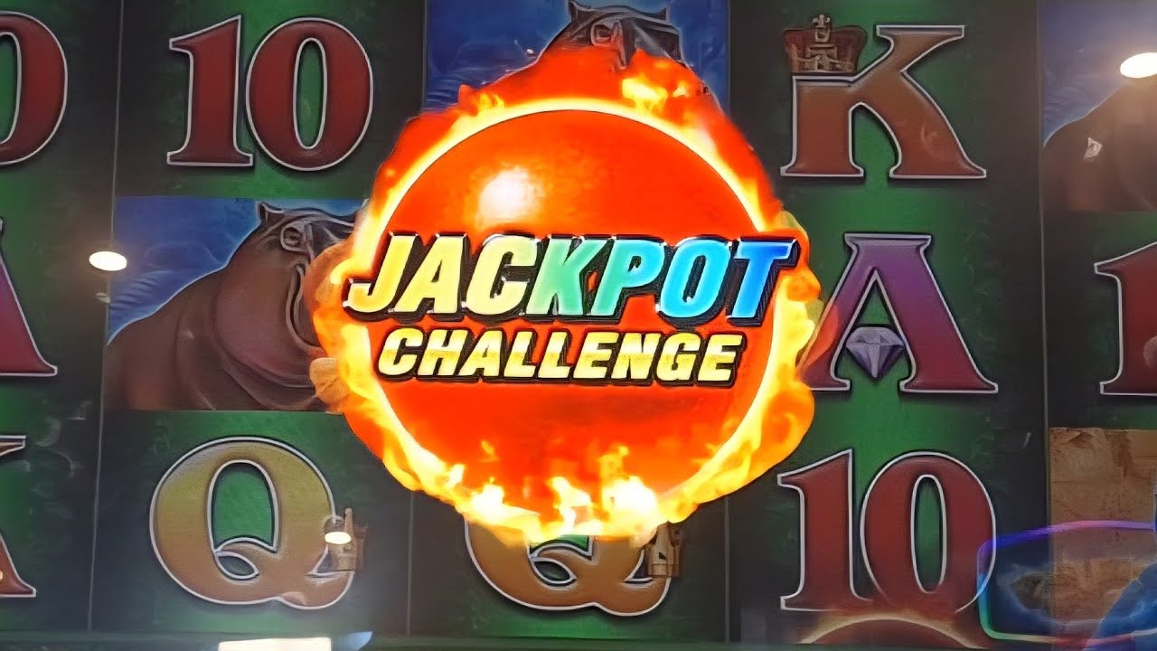 Cannonball - Happy Australia Day 🇦🇺 ❤️