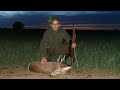 E136 Lov Srndaća sa Zastavom M85 Fullstock 223 rem/Roebuck hunt with Zastava M85 Fullstock in 223rem