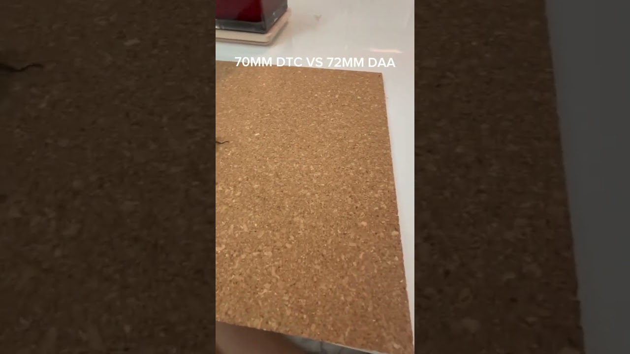 Dorcus antaeus vs dorcus titanus castanicolor *fighting beetles of similar sizes isn't fatal*