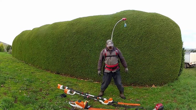 fange Mary Fatal Easy-Lift Harness - with a Hedge Trimmer (UK) - YouTube