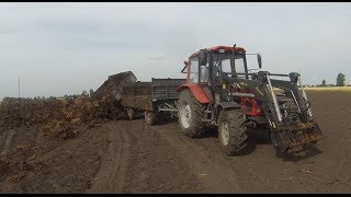 |GoPro|Wożenie obornika 2014 /Belarus 902 Zetor 7211 Ursus c-360/