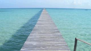 Motionfield - Endless Summer