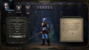 Pillars of eternity part 1 character creation