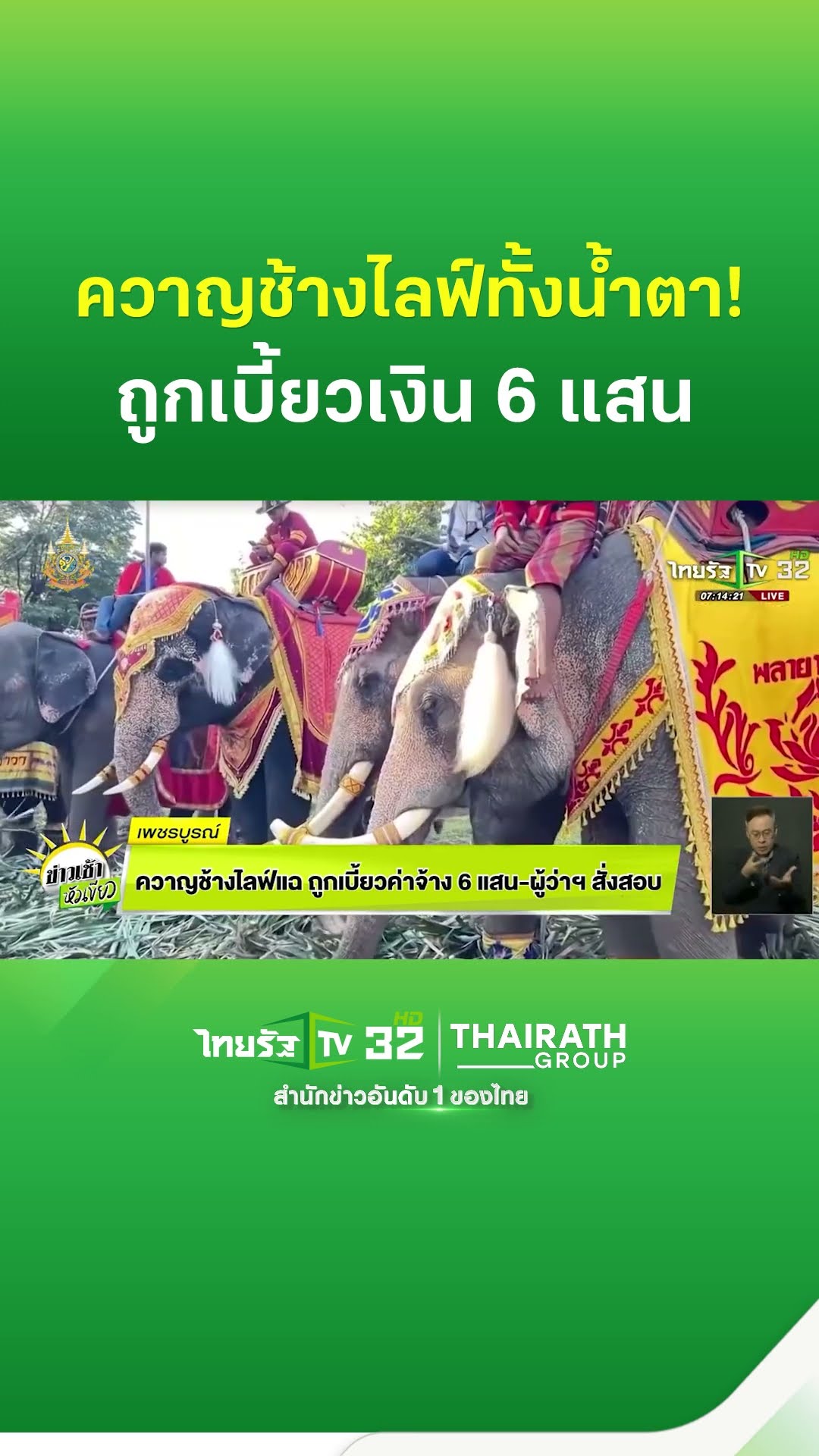 ควาญช้างไลฟ์แฉ ถูกเบี้ยวค่าจ้าง 6 แสน ผู้ว่าฯ สั่งสอบ | ThairathTV