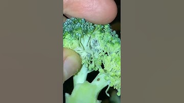 Never eating broccoli 🥦 after this🤯😰😨