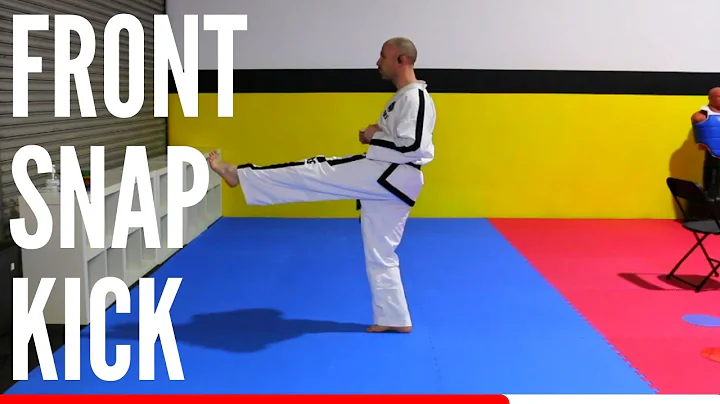 Walking Stance Front Snap Kick Tutorial - How To