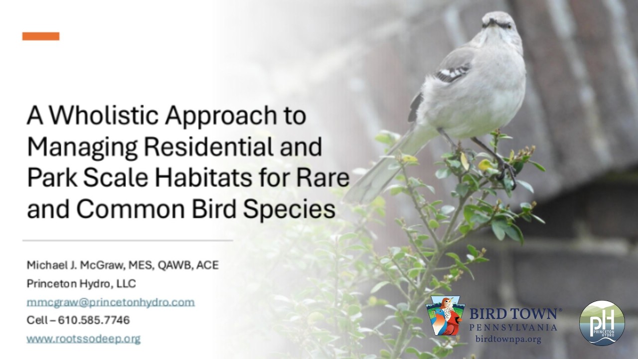 WATCH NOW: Bird Town PA Virtual Workshop with Senior Wildlife Biologist Mike McGraw
