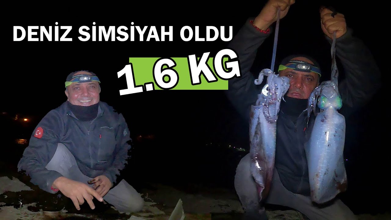 BÜYÜK KALAMARLARIN PEŞİNDE KAYADAN DÜŞTÜM....