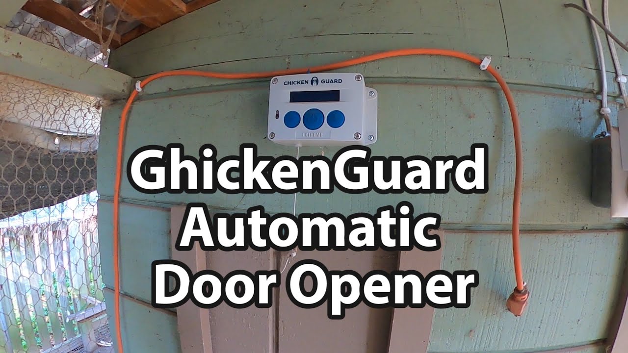 ChickenGuard Automatic Door Opener YouTube