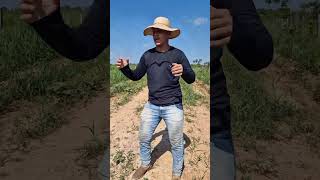 gabiru vendeu a moto da garibalda, vejo que aconteceu oq vc faria?