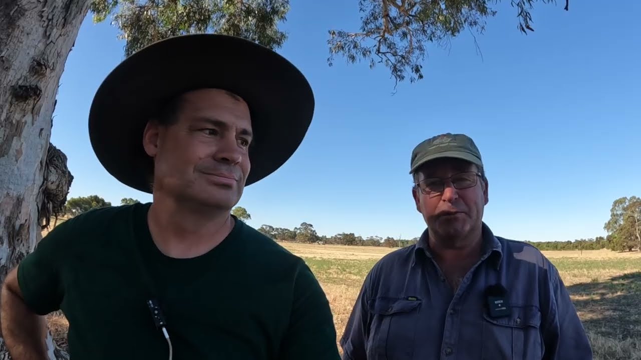 Взгляд на небольшую ферму Дэвида в Южной Австралии.