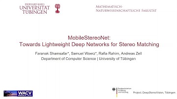 MobileStereoNet: Towards Lightweight Deep Networks for Stereo Matching