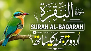 Surah Al-Baqarah سورة البقرة 🌙 | Beautiful With Urdu & Hindi Translation | Heart-Touching Recitation