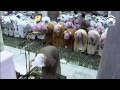 20th Ramadan 2014-1435 Makkah Witr Sheikh Maahir