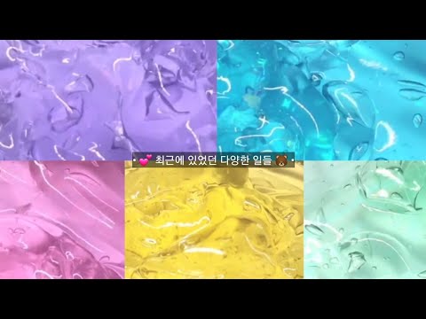 💕 • 최근에 있었던 다양한 일들 • 🐻 최있일시리즈액괴 시리즈액괴 시액 실즈 소규모시리즈액괴 고딕시리즈액괴 몽글시리즈 중규모시리즈액괴 몽글무편집 아진 아진앵 아진시리즈 아진액괴