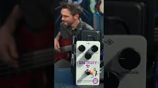 Which Big Muff Sounds BEST on Bass? 10-Pedal Shootout