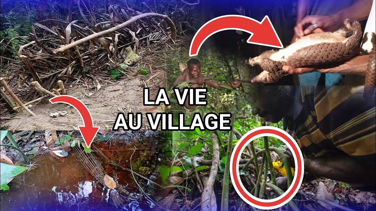 RETOUR AU VILLAGE: NYOSO NA BA VILLAGE EKOMI KAKA PASI YANGO BATO BA KOSUKA WAPI 