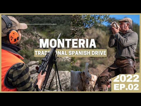 MONTERIA What´s All About? 🔥 Traditional Spanish DRIVEN HUNT for Wild Boar