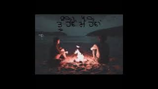 Paani Diyan Chllan | 🎧Lo-Fi | Feroz Khan