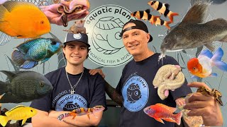 Aquatic Planet s Amazing Pet Store Tour