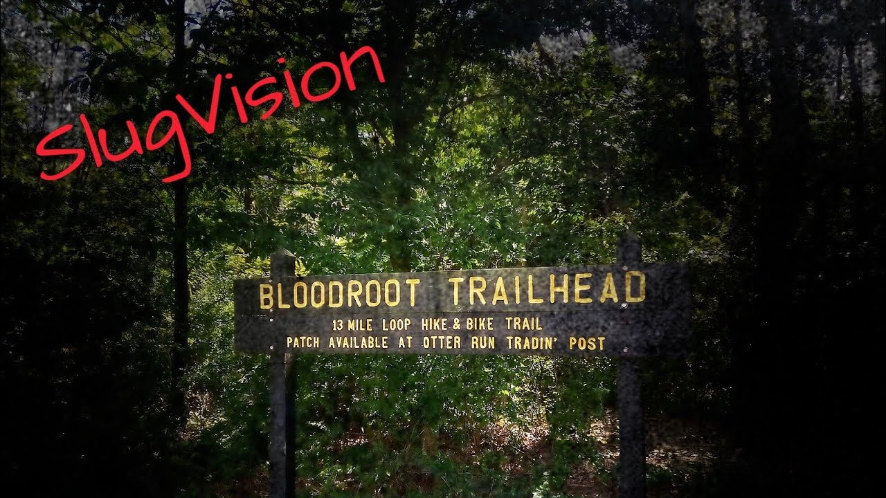 Solo on the Blood Root Trail, Indiana