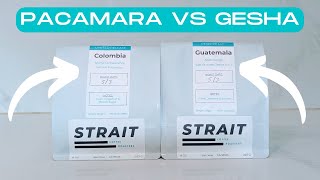 GESHA VS PACAMARA | Which Coffee Is More Difficult To Roast?