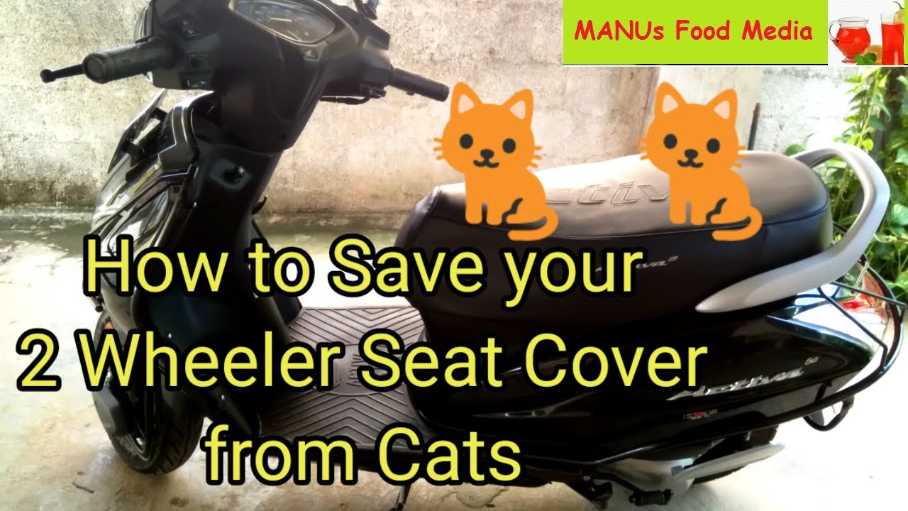 How To Keep Cats Off Motorcycle Seats