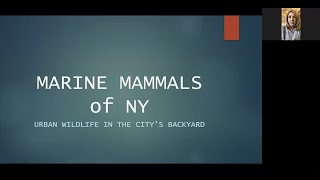 Marine Mammals of New York