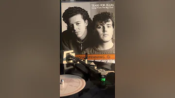 Tears for Fears - Everybody Wants to Rule the World 1985 (Sounds on Vinyl Record)