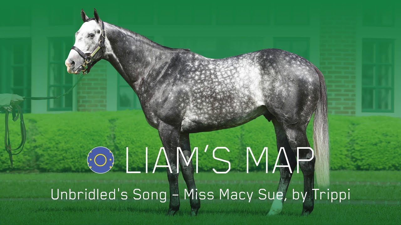 LIAM'S MAP - Interview with Steve Asmussen - YouTube