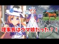【ウマ娘】理事長の裏設定と元ネタを完全解説!