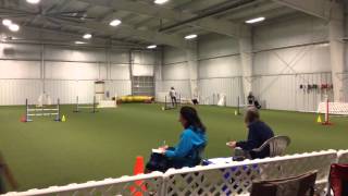 CPE Colors level 2 agility